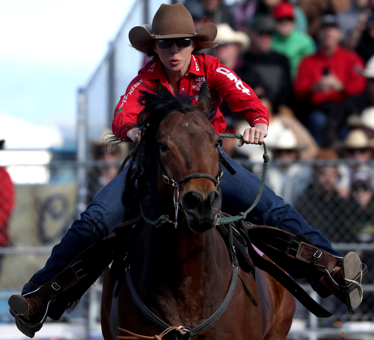 Tucson Rodeo